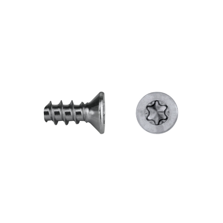 Tornillo para maderas fenólicas FEC/FEP con cabeza avellanada y sistema TORX