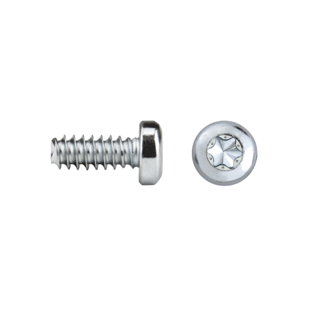 Tornillo rosca plástico FF81T REMFORM®F con cabeza alomada TORX