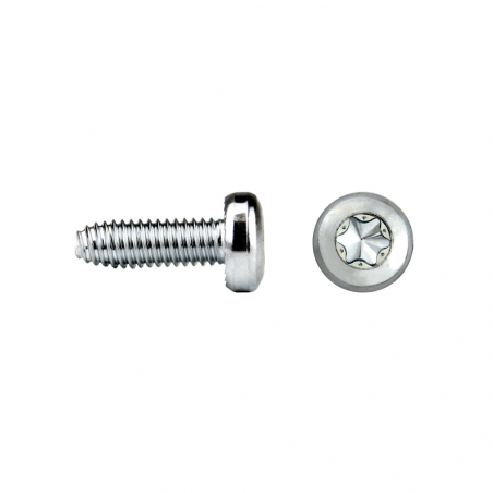 Tornillo trilobular zincado con cabeza alomada TORX
