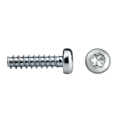 Tornillo rosca para plástico RF81T REMFORM® con cabeza alomada TORX