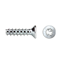 Tornillo rosca plástico RF82T REMFORM® con cabeza avellanada TORX