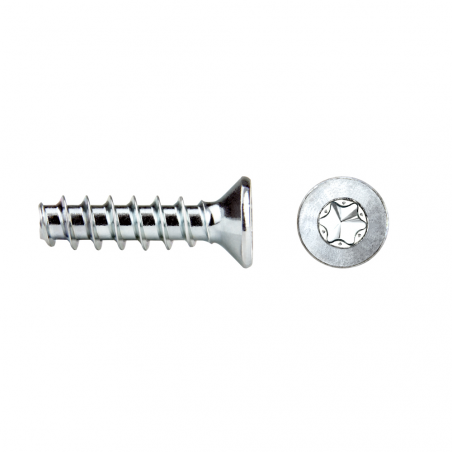 Tornillo rosca plástico RF82T REMFORM® con cabeza avellanada TORX