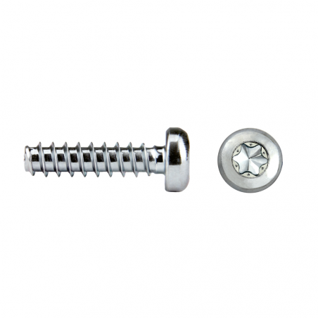 Tornillo rosca plástico RHS81P REMFORM®II HS con cabeza alomada TORX®plus