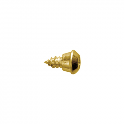 Tornillo para perfil PVC KO con acabado dorado