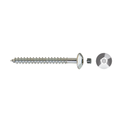 Tornillo inviolable TIC con cabeza hexalobular y tapón