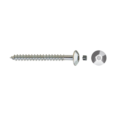 Tornillo inviolable TIC con cabeza hexalobular y tapón